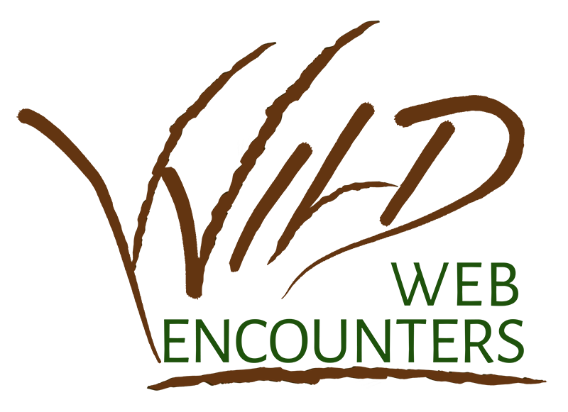 Wild Web Encounters logo